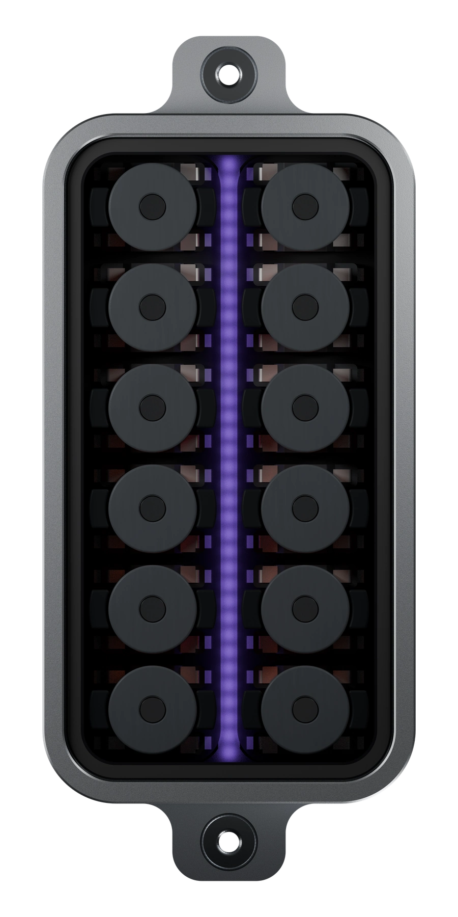 NeuraCoil pickup with six pairs of coils, ordered from low E at the top to high E at the bottom.